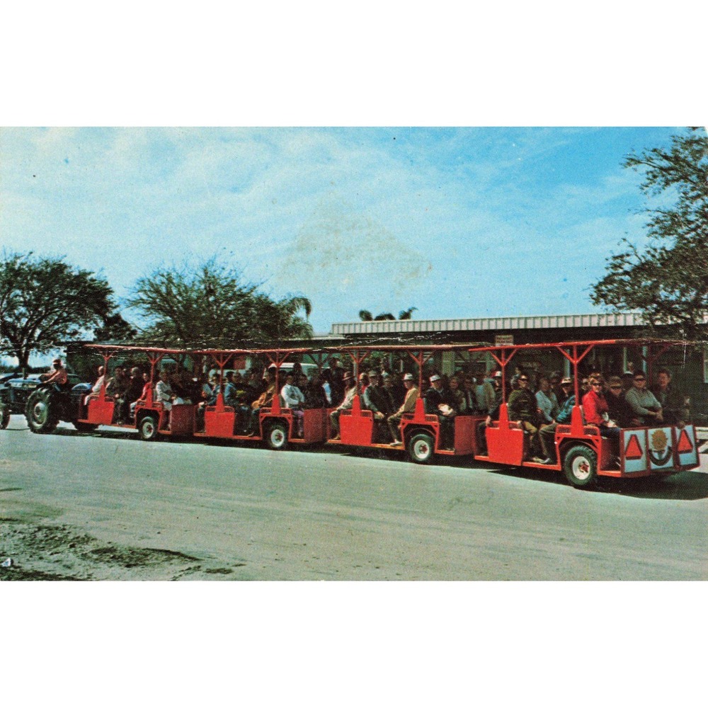 Vintage Sun 'N' Fun Resort Sarasota Florida Postcard Tram Ride Chrome VG
